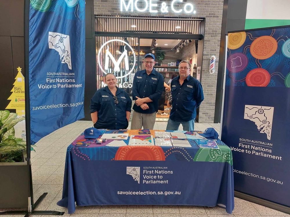 Nominations open for state voice post image