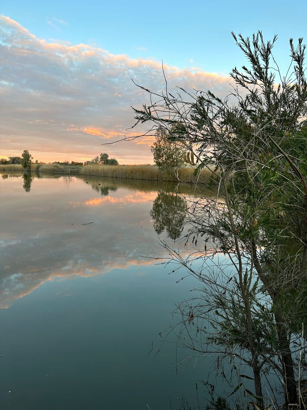 $20.9m funding for Murray-Darling Basin water savings… Where’s the benefit? post image