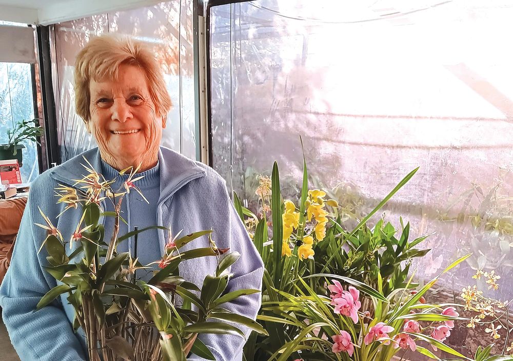 Riverland Orchid Society Winter Show in Barmera post image