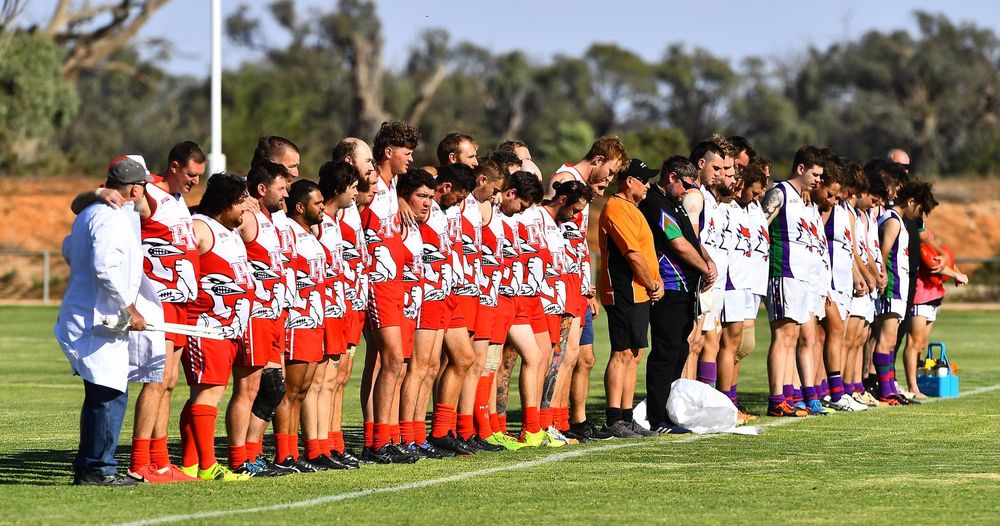 Magpies feel Redback venom post image