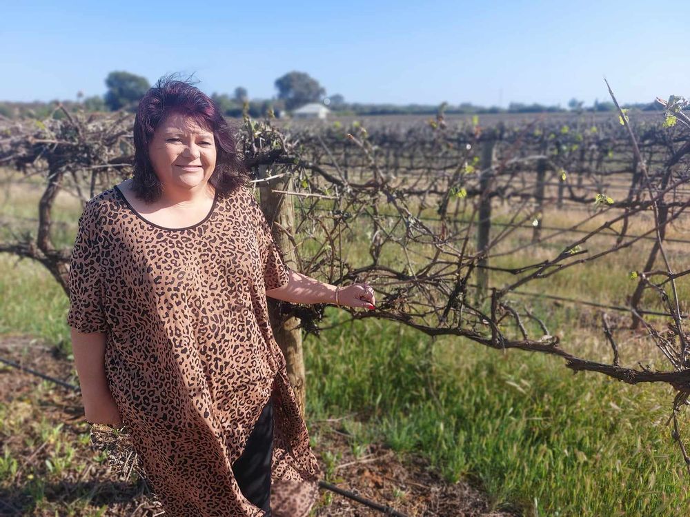 ‘Decision time’ follows frost post image