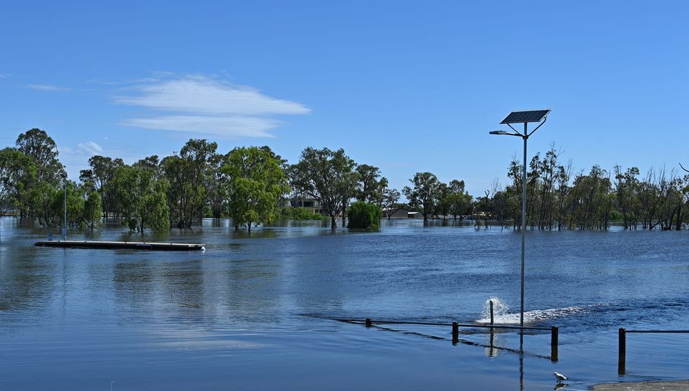 Berri Barmera recovering from flood emergency post image