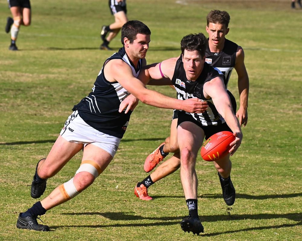 Magpies eyeing off top two post image