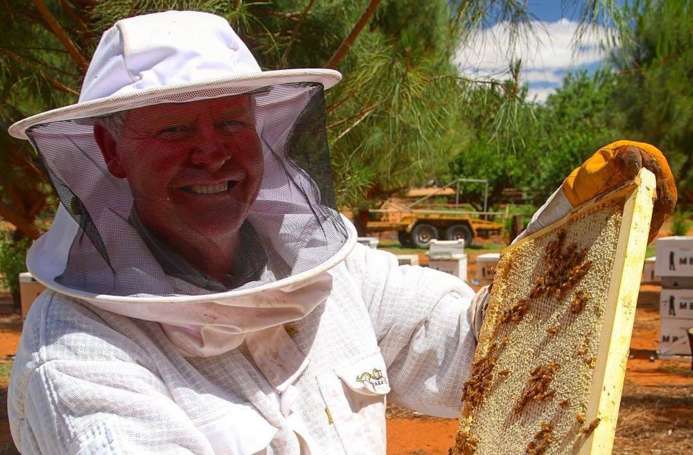 Local beekeeper’s varroa forecast... Buzzkill post image