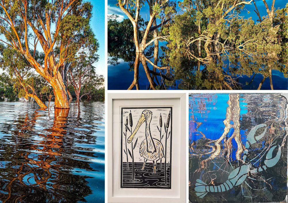 Exhibition portrays nature’s power and beauty post image