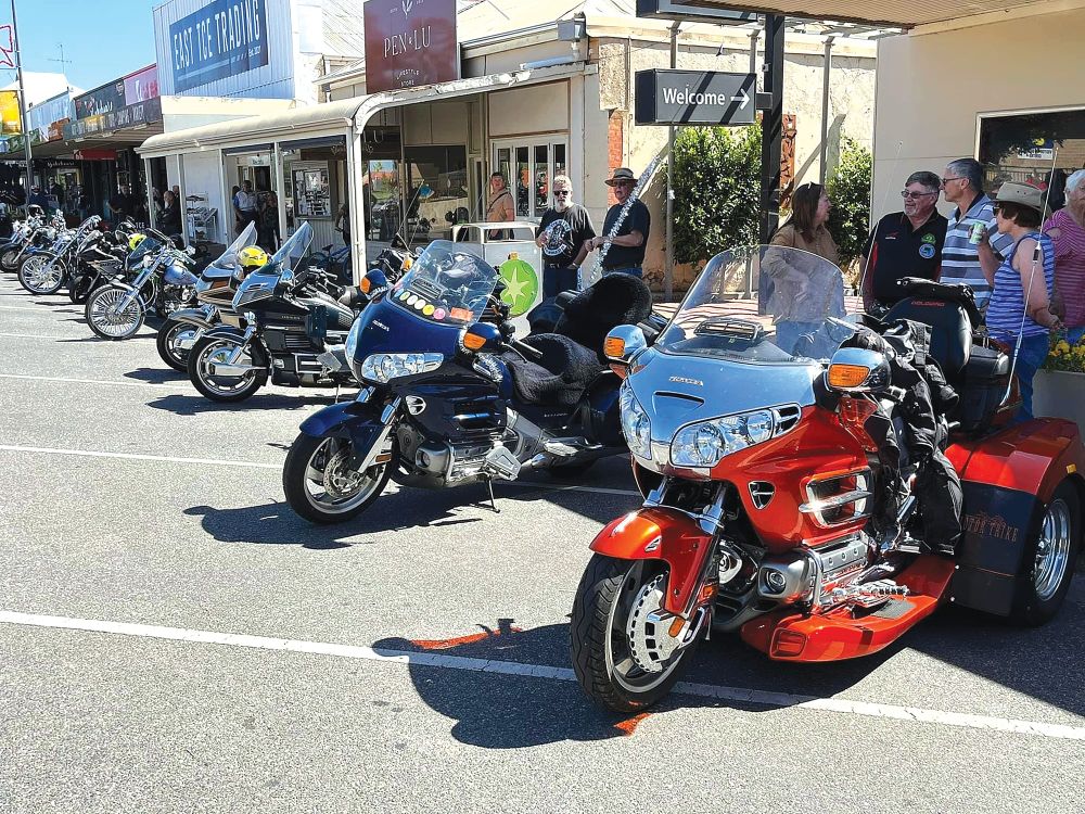 Toy and Tucker Run coming up post image