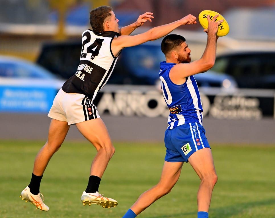 Rovers continue winning ways at the kennel post image