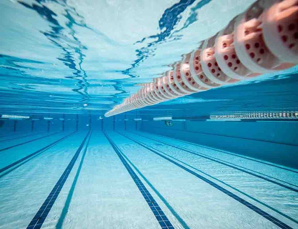 Local juniors acknowledged by Swimming Australia post image