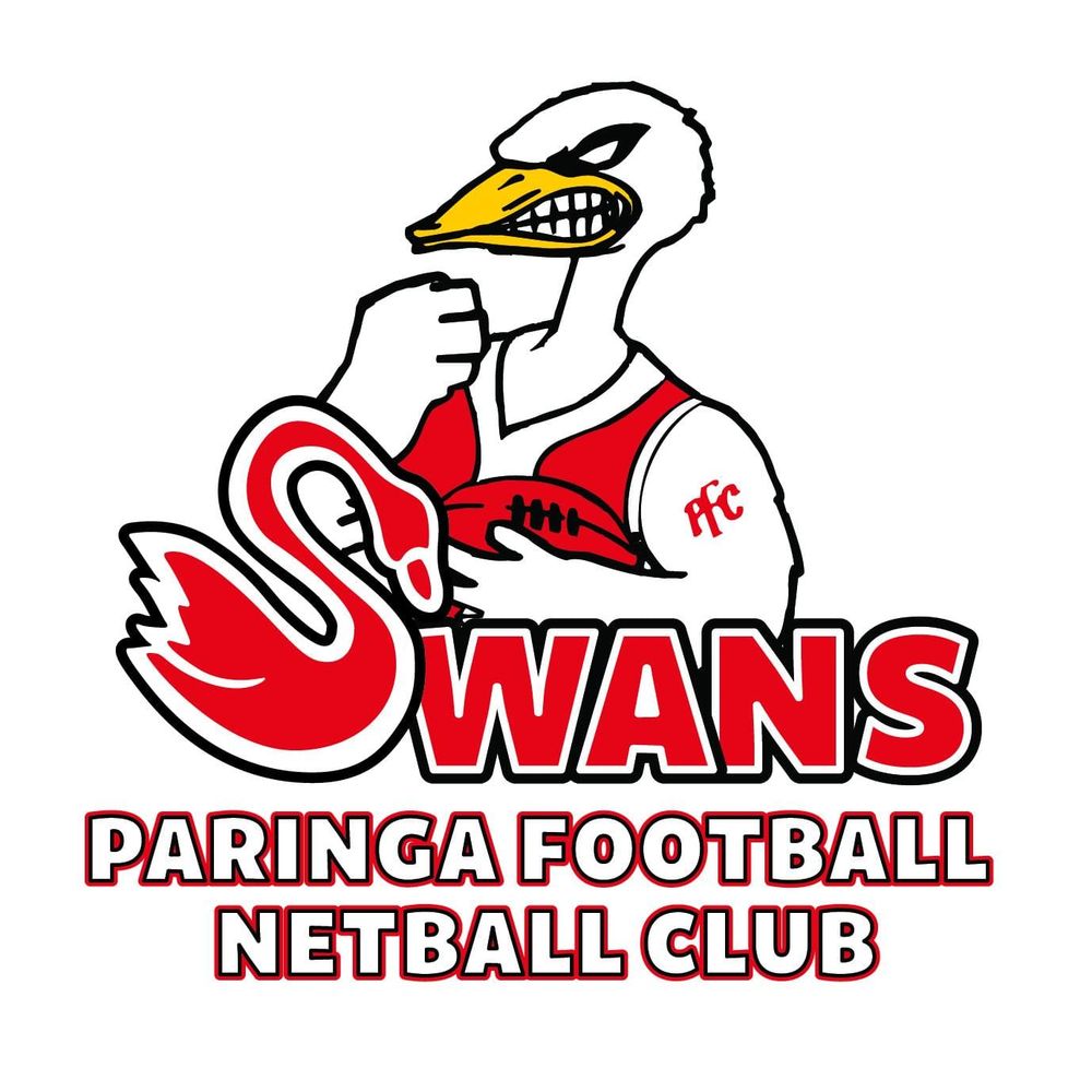 Junior Swans get tick of approval post image