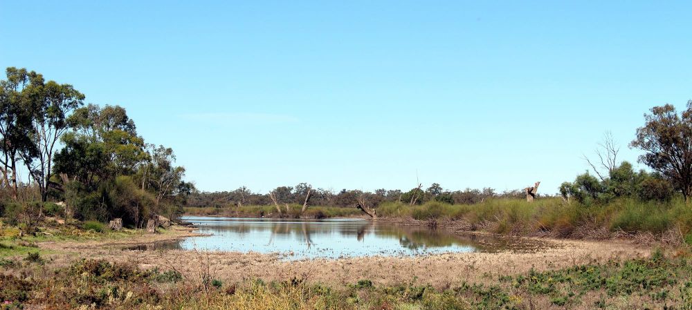 Shape new laws to restore SA biodiversity post image