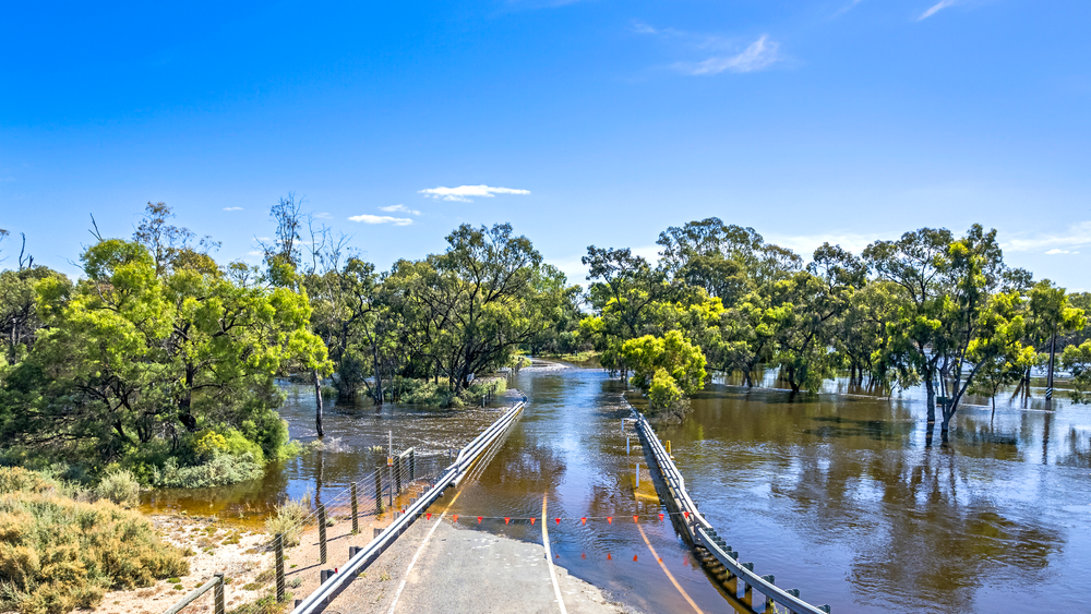 Alysha’s artistic response to River Murray Flood event on display soon post image