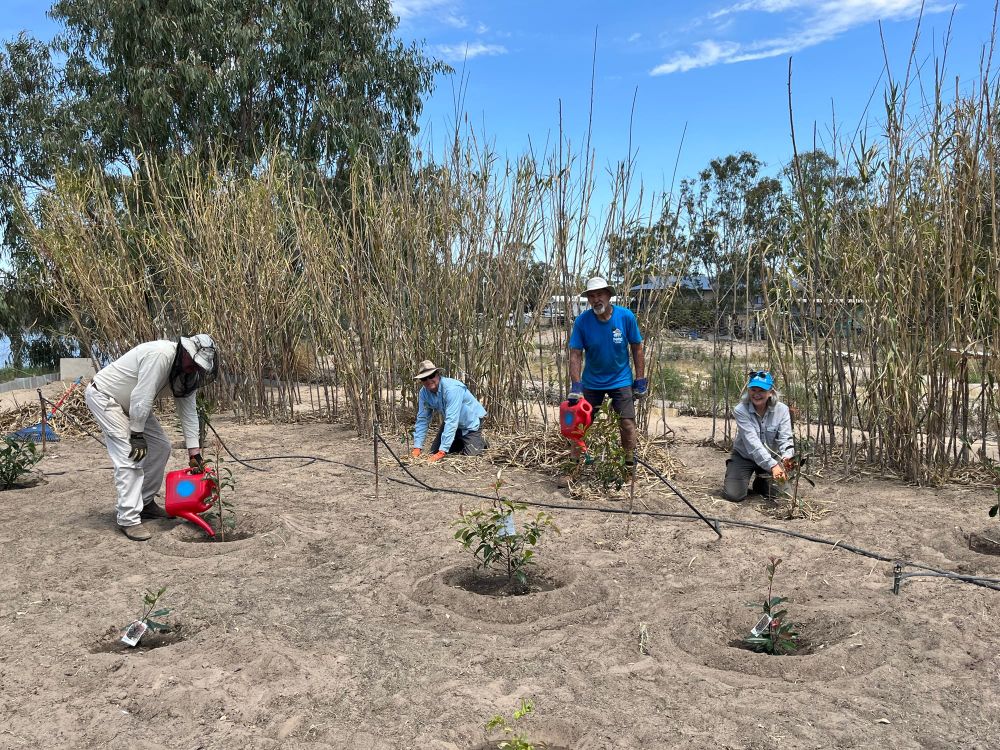 Many hands make light work for River Murray flood victims post image