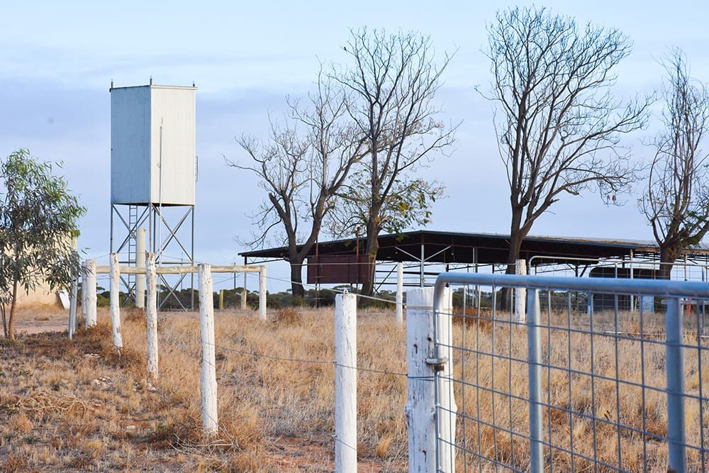 Ex-Riverlander’s vision for horse racing return post image