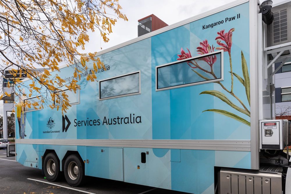 Kangaroo Paw II bringing services galore post image