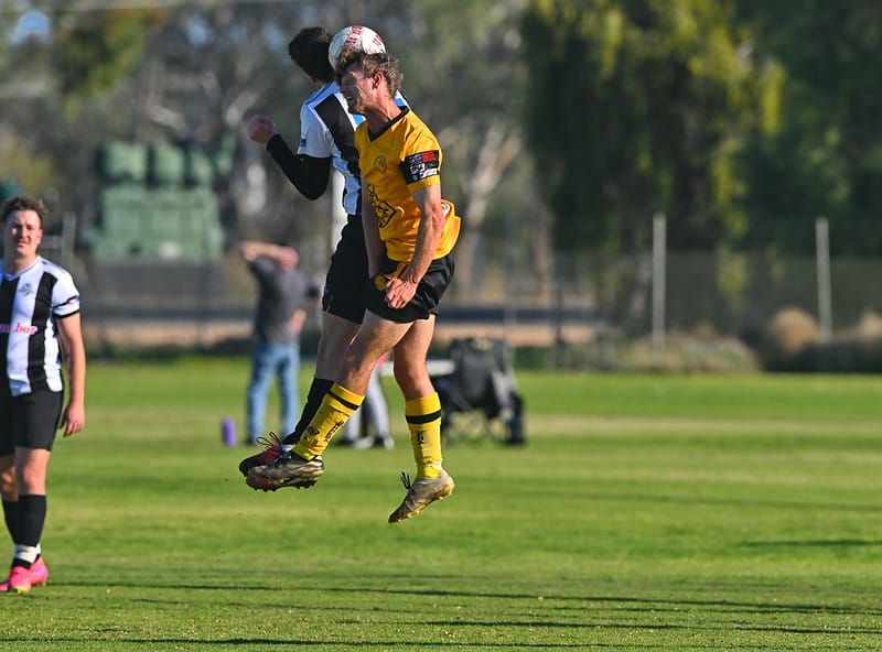 Hoffmann leads Loxton to impressive win post image