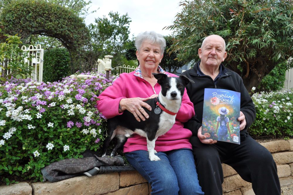 Soon to be all coming up roses post image