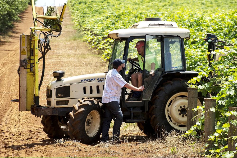 Whetstone calls for government support post image