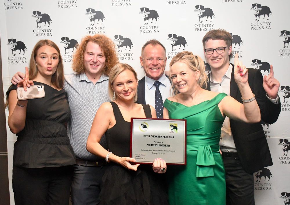 Pioneer is number one post image