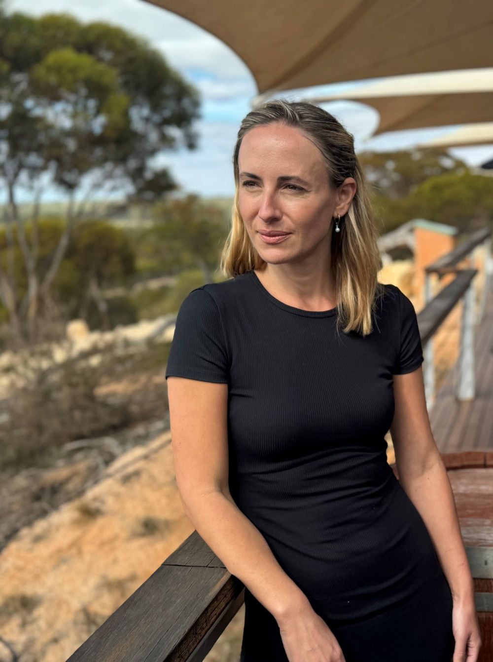 Indicative pricing Bill hits parliament post image