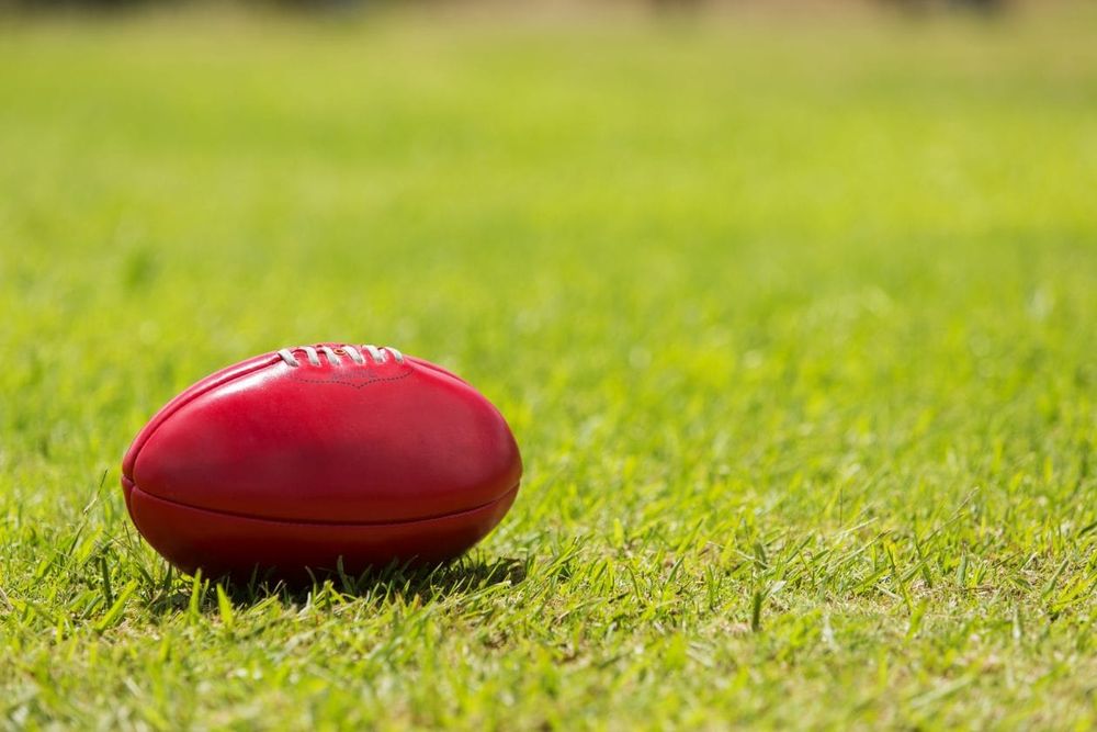 Around The Grounds post image