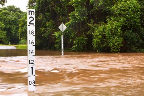 Local Lions’ disaster appeal donation post image