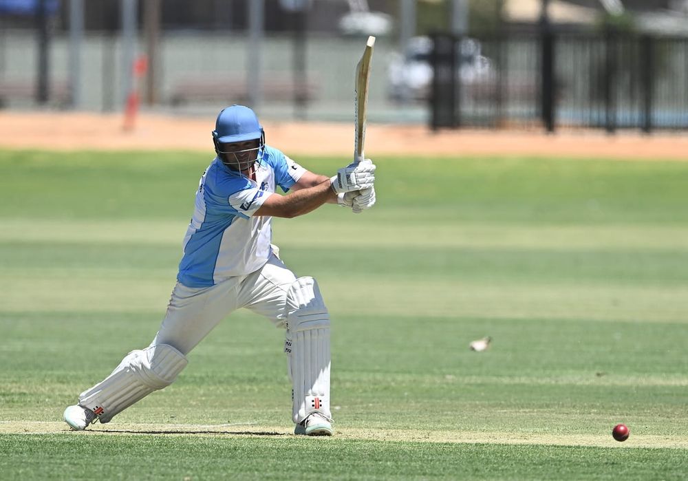 Williamson stars as Bluetongues wraps up season post image