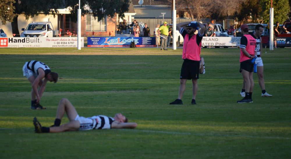 Tigers claw back victory at the death post image