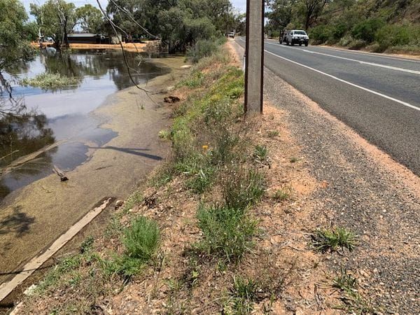Kingston Rd ‘closed by next week’ - Pasin issues plea to SA government post image
