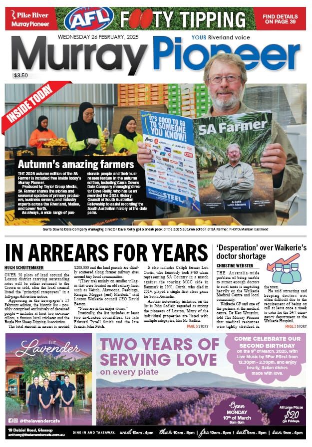 February 26, 2025 post image