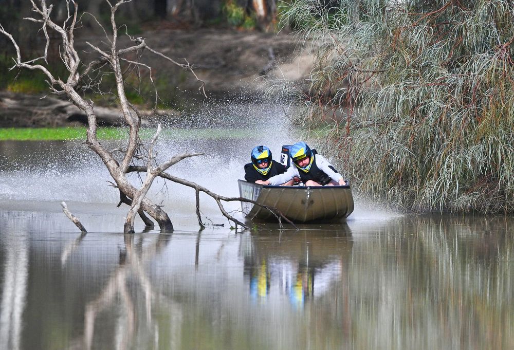 Catch them if you can post image