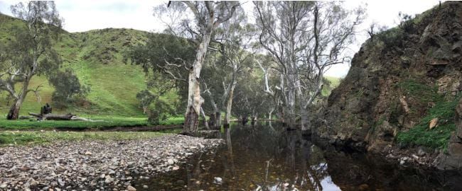 New report highlights health of the Marne Saunders Catchment post image