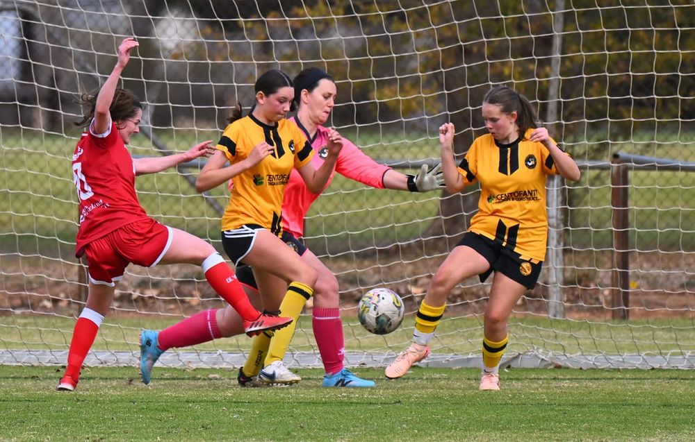 Olympic, Pelicans play out entertaining draw post image