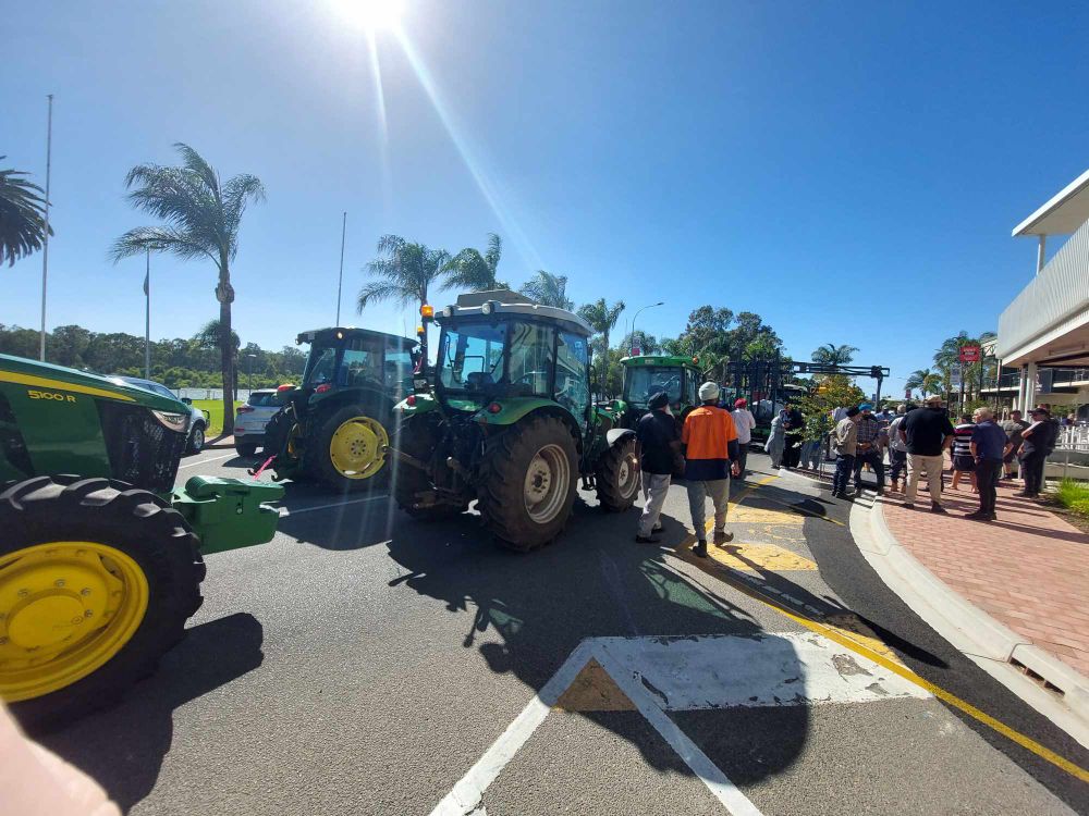 Calls intensify for grower support post image