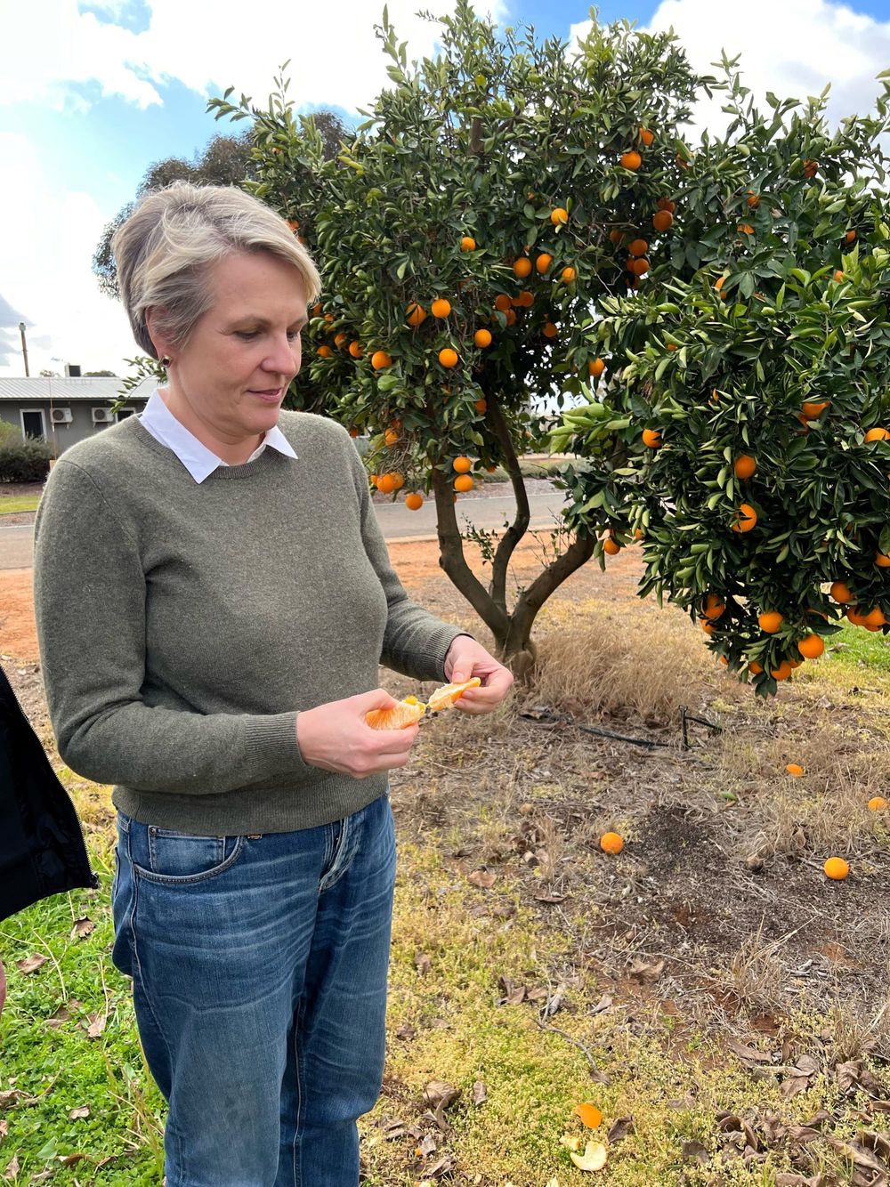 Water-saving projects being sought for the Basin post image