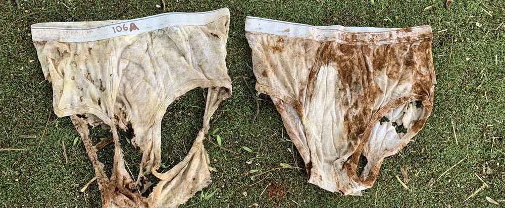 Riverlanders soil their undies for science post image