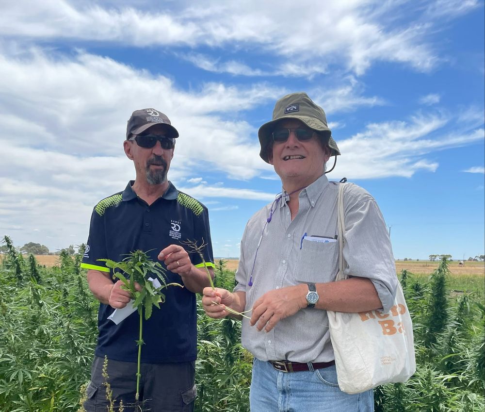 Hemp the headline act in Loxton today post image