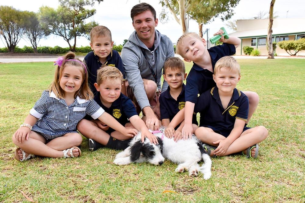 Scout’s ‘paw-sitive’ impact post image