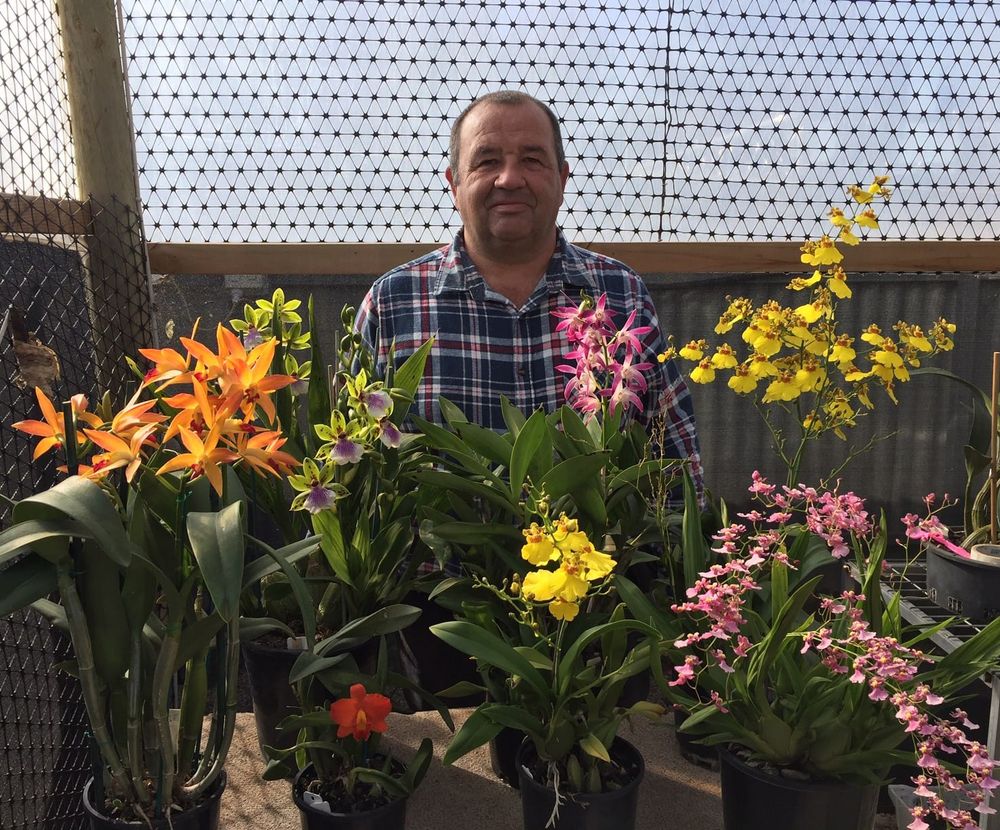 Spirits high for 2024 Winter Orchid Show post image