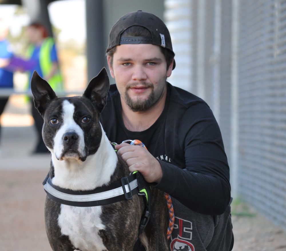 Pop-up clinic providing care to local pets post image