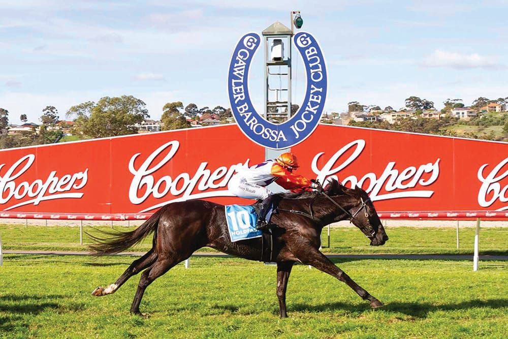 Smart Alick a healer, now a highlight post image