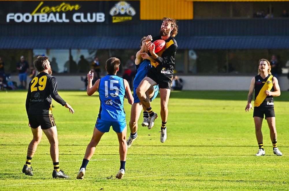 ‘Sporty’ and Precinct hot Tiger topics post image