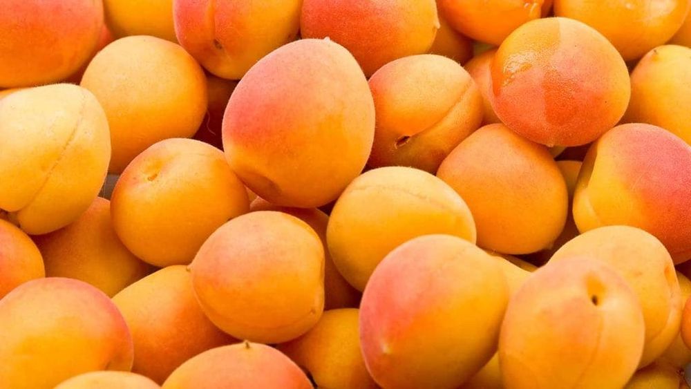 Stone fruit crops ‘wiped out’ by rain post image