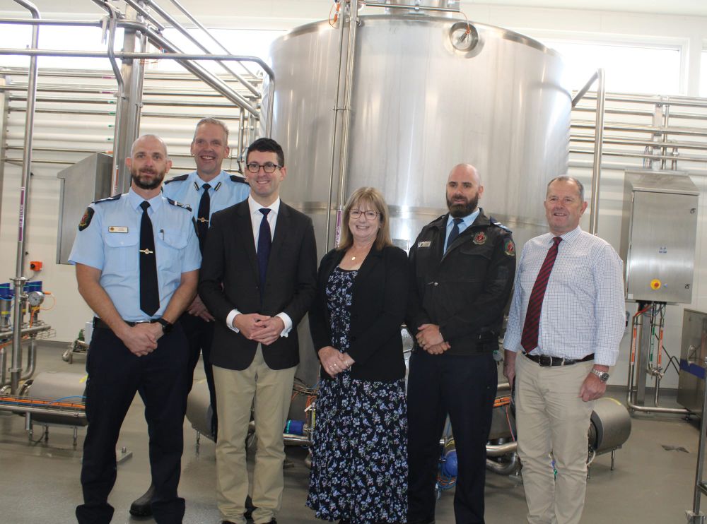 The dairy made as an honour for David post image