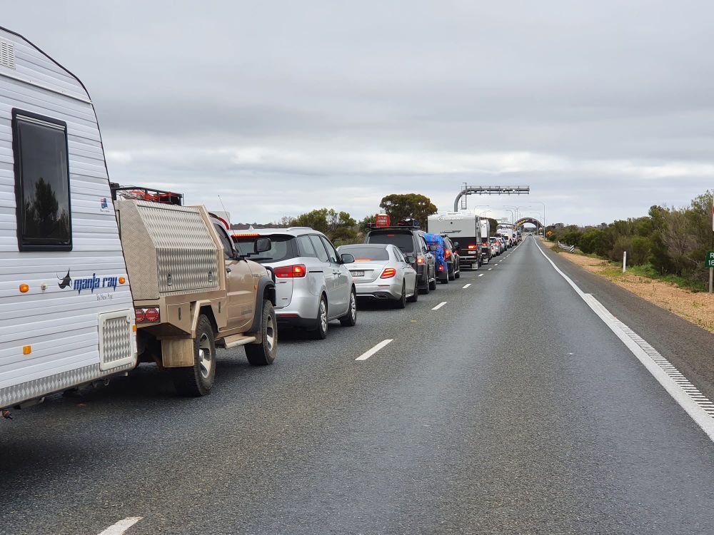 Riverland’s fruit fly battle: Tim Whetstone floats idea of backyard tree pulls post image
