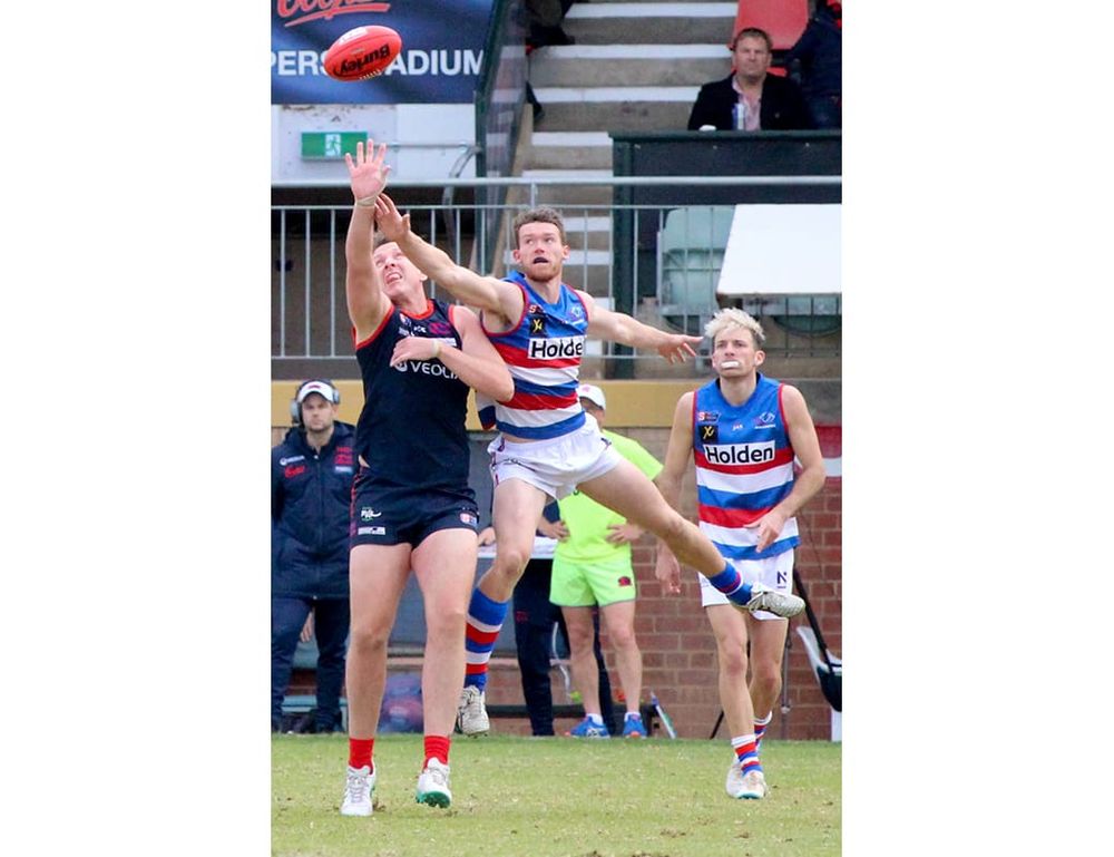 Thompson leaps into SANFL debut post image