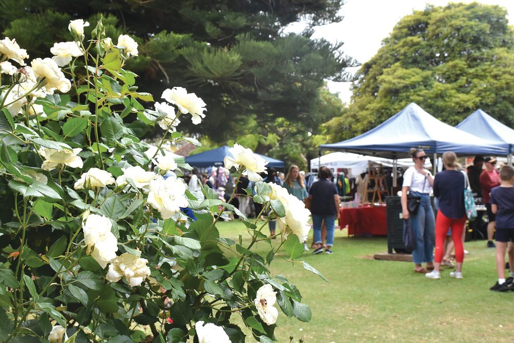 Committee putting petal to the metal for 2024 post image