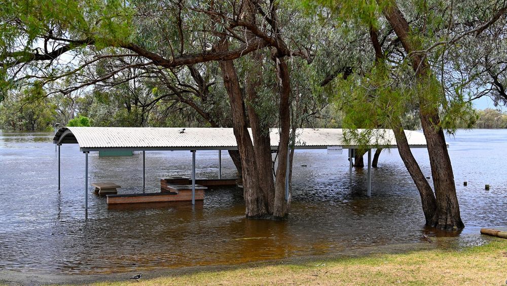 Moorook 60km/h detour seeing plenty of traffic post image