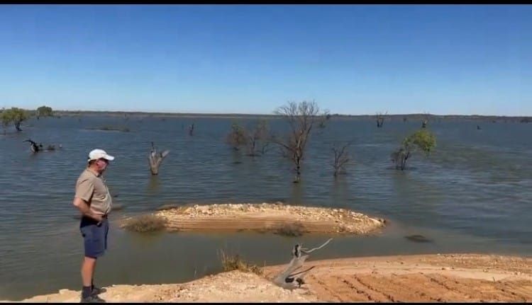 Lake salt slug ‘threatening local crops’ post image