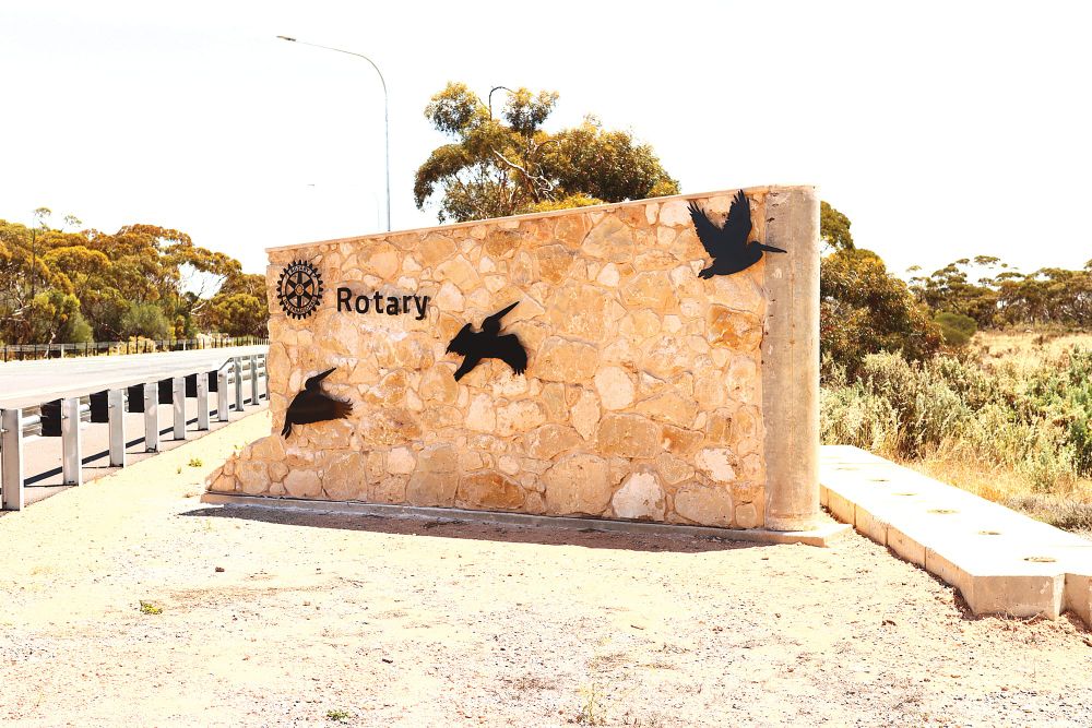 Generosity sees Waikerie pelicans restored to wall post image