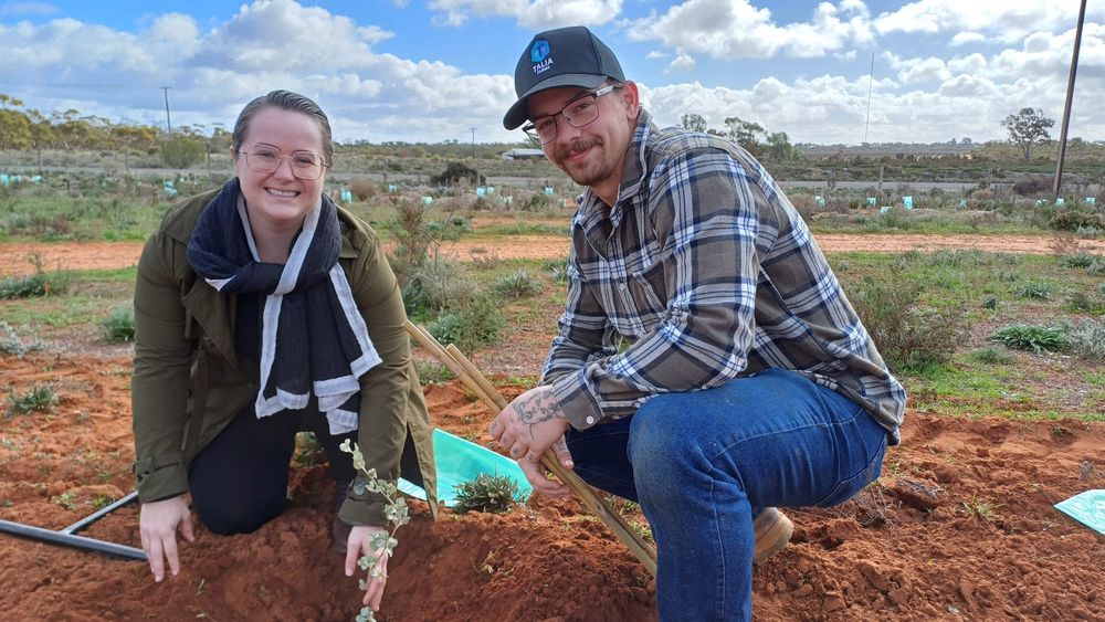 Community co-operation for tree planting events post image